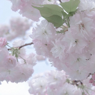 吉安FurryQQ群介绍